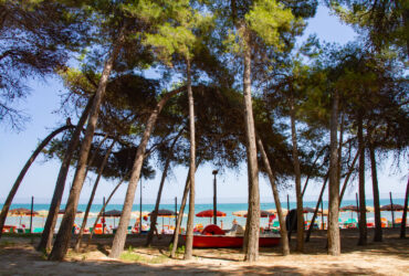 gallery-pineta-blueknights-italy5