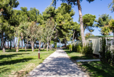 gallery-viale-blueknights-italy5